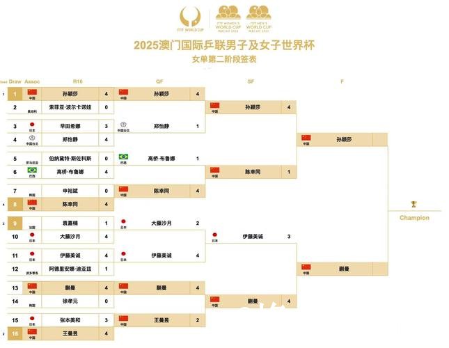 实时掌握世界杯比分手机应用解析